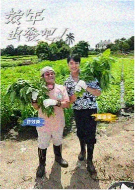 电影天堂apk 榜单第四 深夜食堂计划